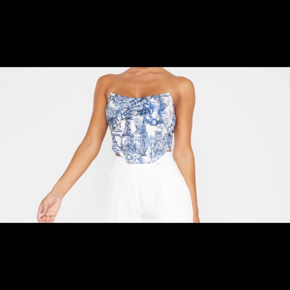 PLT Renaissance Corset